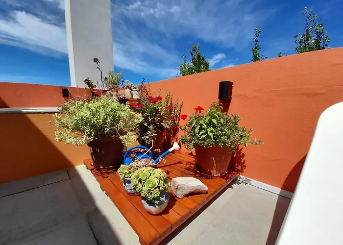 Triplex Con Terraza Unica A 50 Mts Del Mar