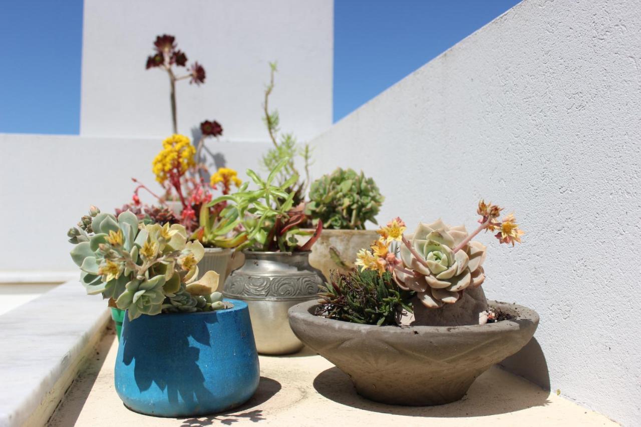 Triplex Con Terraza Unica A 50 Mts Del Mar Apartment